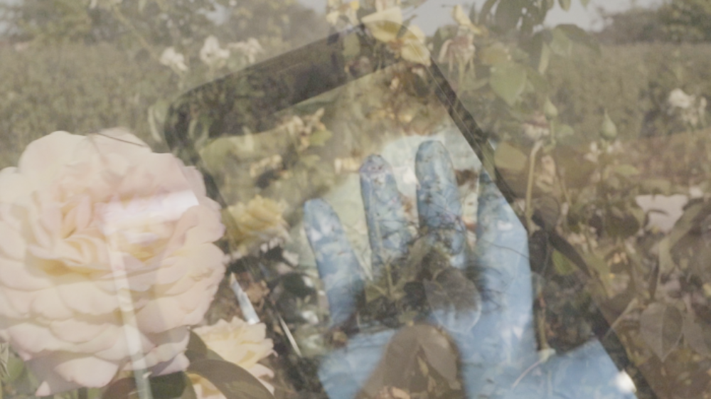 Говорить Docudays UA: від голосу суспільства до інституційного простору